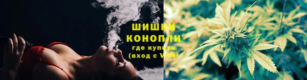 стаф Абаза