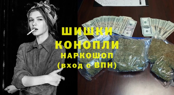 стаф Абаза