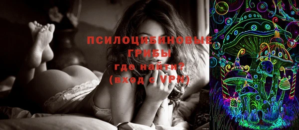индика Нягань