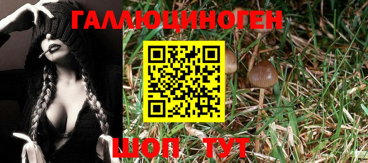 дарнет шоп  Вход с VPN  Батайск  Галлюциногенные грибы ЛСД 